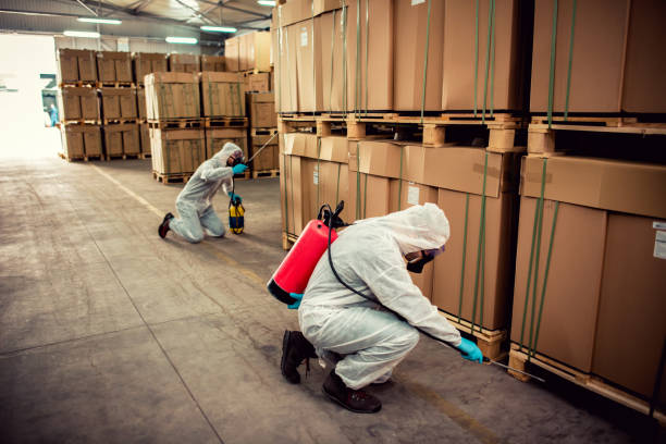 Best Rat Extermination Near Me  in Troutdale, OR