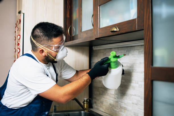 Best Ant Control Services  in Troutdale, OR