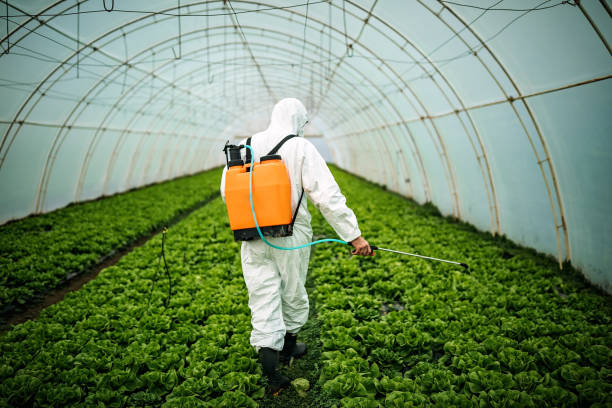 Best Exterminator Services  in Troutdale, OR