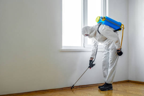 Best Best Pest Control Companies  in Troutdale, OR