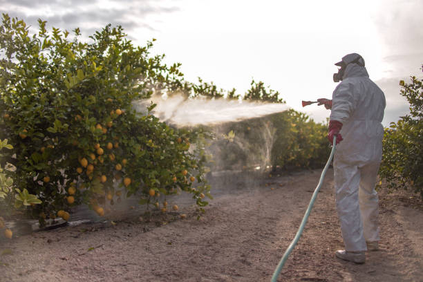 Best Local Pest Control Services  in Troutdale, OR