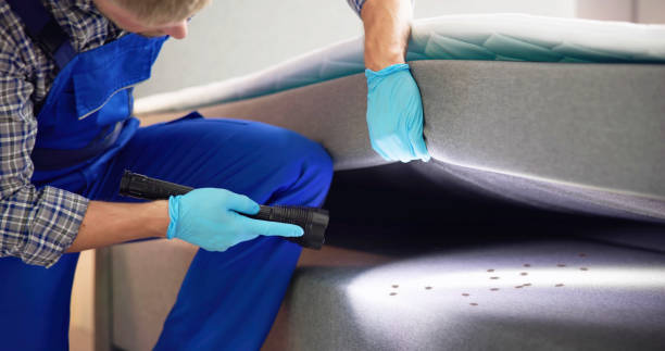 Best Pest Control Near Me in Troutdale, OR