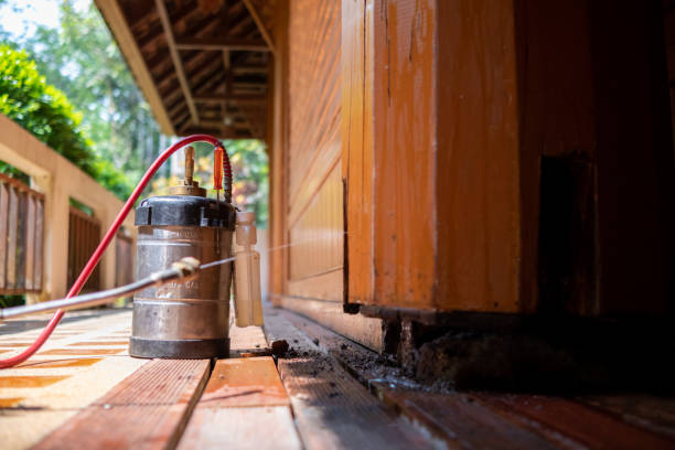 Best Pest Removal Services  in Troutdale, OR