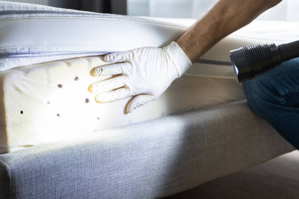 Best Flea Control Services  in Troutdale, OR