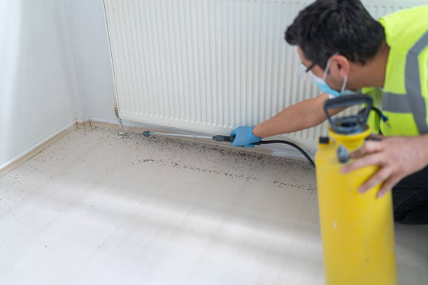 Trusted Troutdale, OR Pest Control Experts