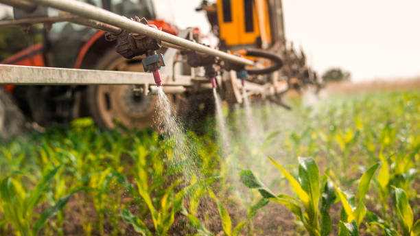 Best Wildlife Control Services  in Troutdale, OR